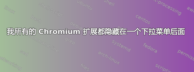 我所有的 Chromium 扩展都隐藏在一个下拉菜单后面