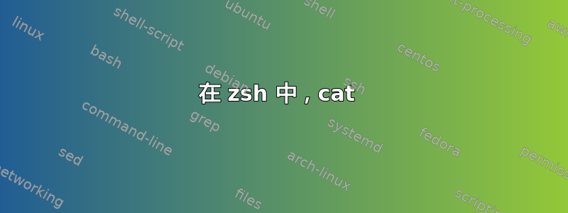 在 zsh 中，cat 