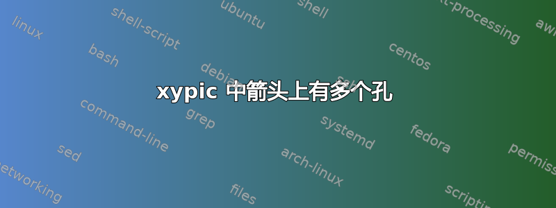 xypic 中箭头上有多个孔