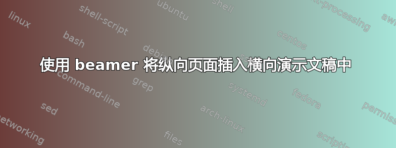 使用 beamer 将纵向页面插入横向演示文稿中