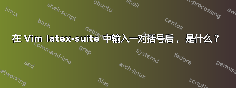 在 Vim latex-suite 中输入一对括号后， 是什么？