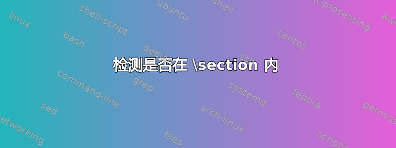 检测是否在 \section 内