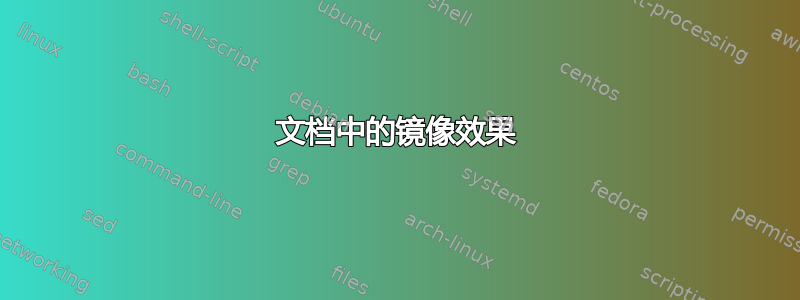 文档中的镜像效果