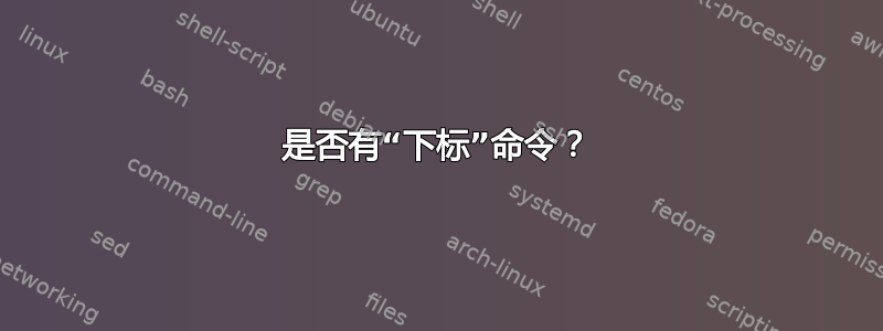 是否有“下标”命令？