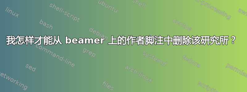 我怎样才能从 beamer 上的作者脚注中删除该研究所？