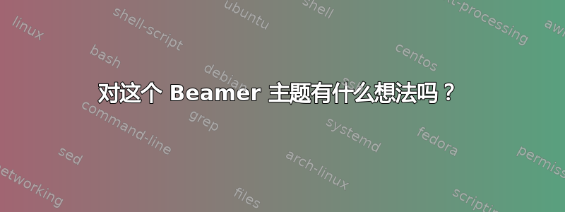 对这个 Beamer 主题有什么想法吗？