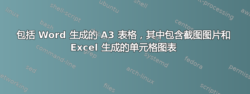 包括 Word 生成的 A3 表格，其中包含截图图片和 Excel 生成的单元格图表