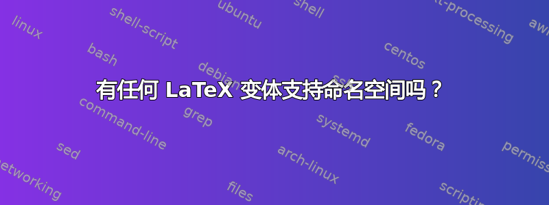 有任何 LaTeX 变体支持命名空间吗？