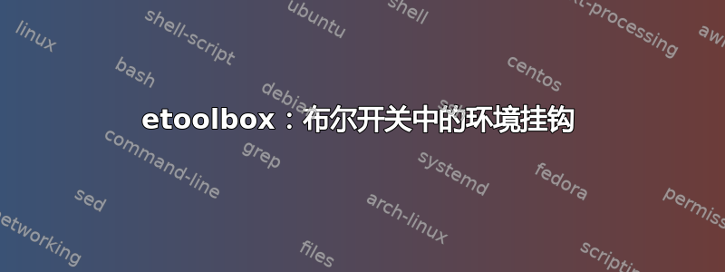 etoolbox：布尔开关中的环境挂钩