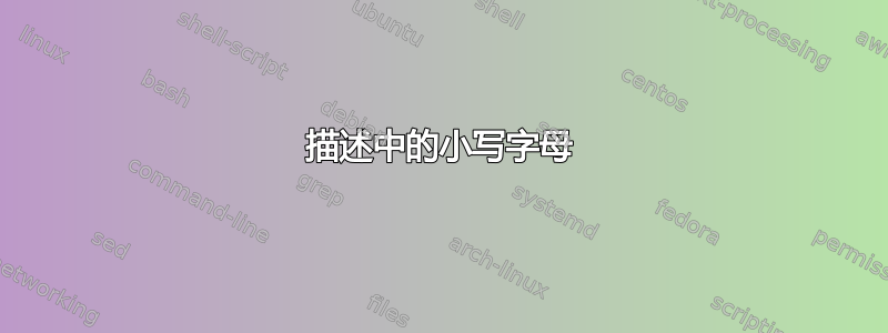 描述中的小写字母