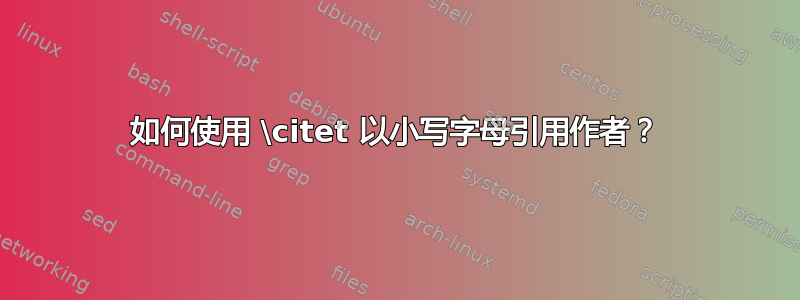 如何使用 \citet 以小写字母引用作者？