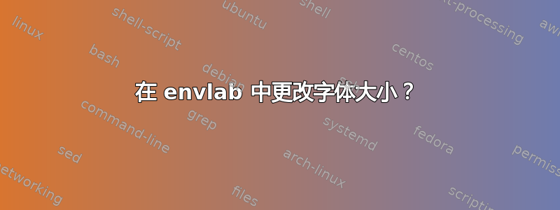 在 envlab 中更改字体大小？