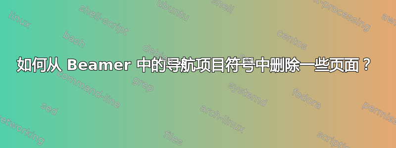 如何从 Beamer 中的导航项目符号中删除一些页面？