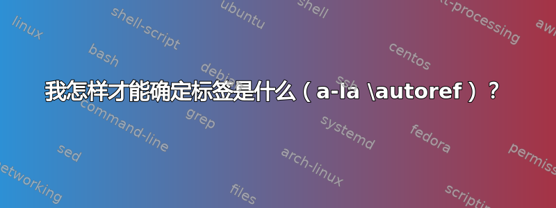 我怎样才能确定标签是什么（a-la \autoref）？