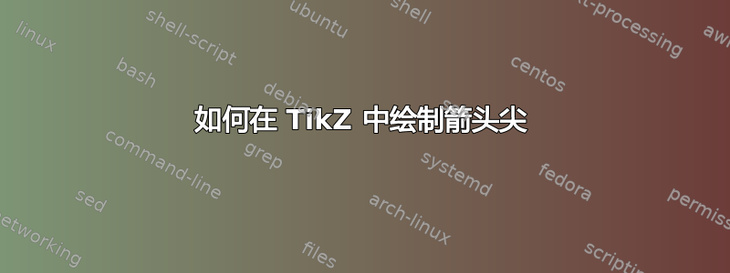 如何在 TikZ 中绘制箭头尖