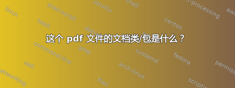 这个 pdf 文件的文档类/包是什么？