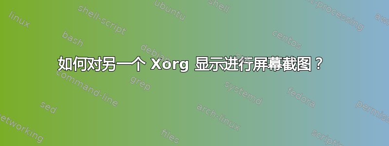 如何对另一个 Xorg 显示进行屏幕截图？