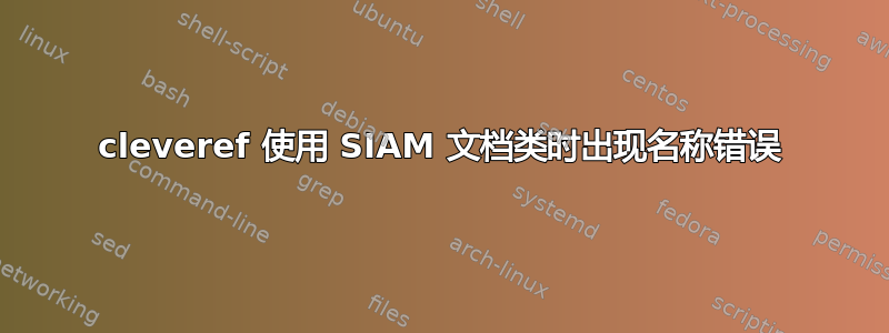 cleveref 使用 SIAM 文档类时出现名称错误