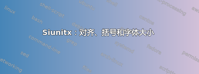 Siunitx：对齐、括号和字体大小