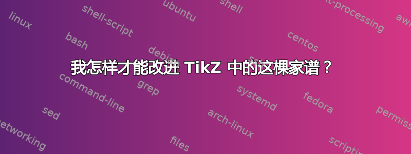 我怎样才能改进 TikZ 中的这棵家谱？