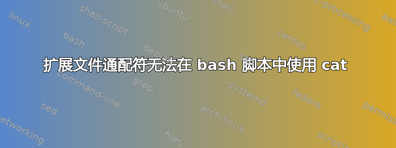 扩展文件通配符无法在 bash 脚本中使用 cat