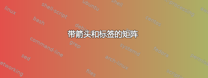 带箭头和标签的矩阵