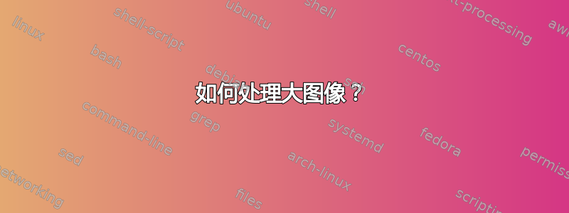 如何处理大图像？