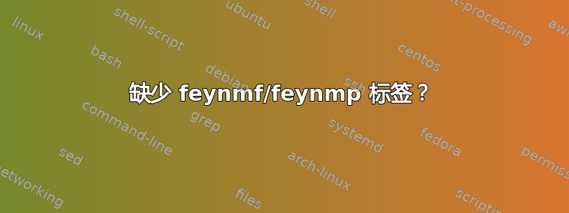 缺少 feynmf/feynmp 标签？