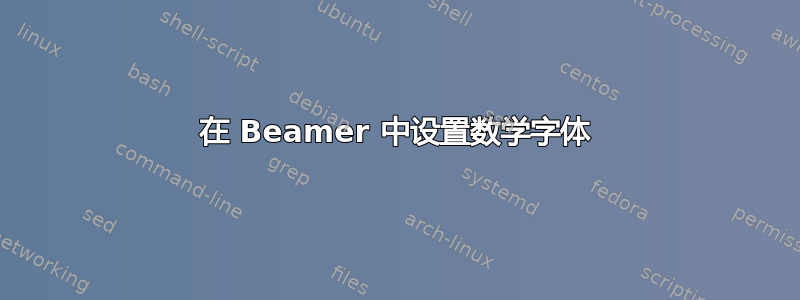 在 Beamer 中设置数学字体