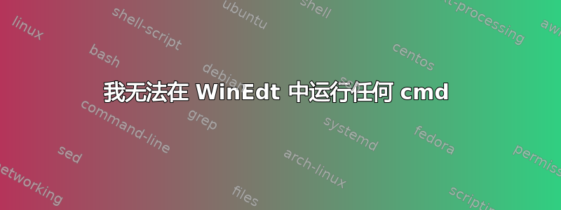 我无法在 WinEdt 中运行任何 cmd