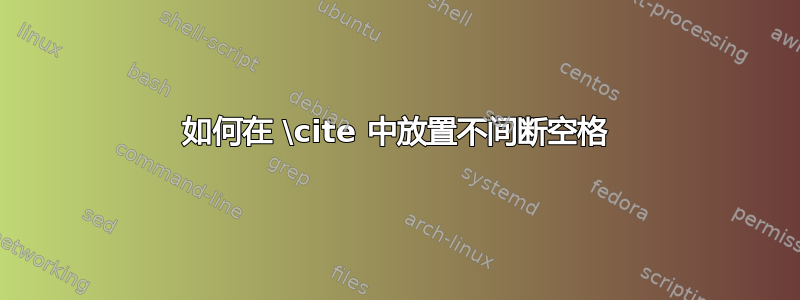 如何在 \cite 中放置不间断空格