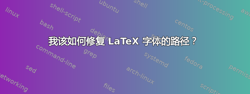 我该如何修复 LaTeX 字体的路径？