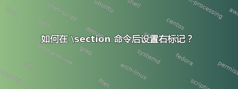 如何在 \section 命令后设置右标记？