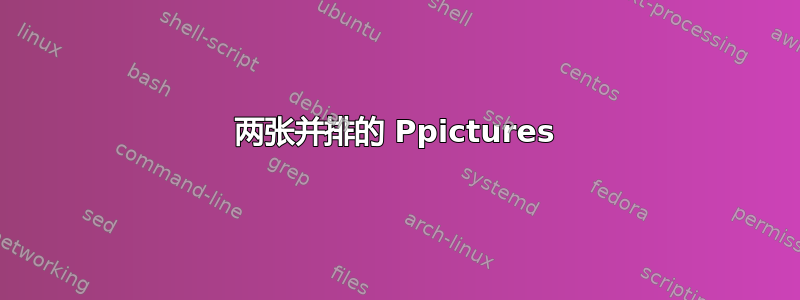 两张并排的 Ppictures