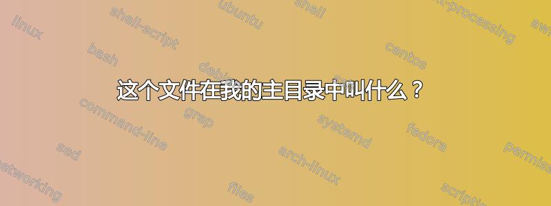 这个文件在我的主目录中叫什么？