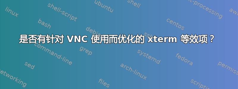 是否有针对 VNC 使用而优化的 xterm 等效项？