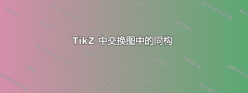 TikZ 中交换图中的同构