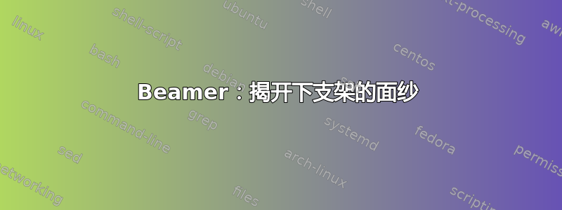 Beamer：揭开下支架的面纱