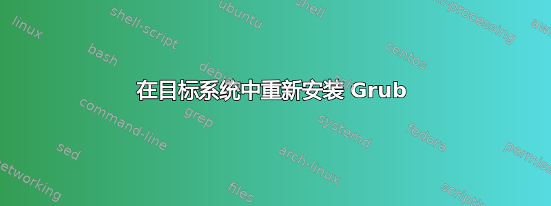 在目标系统中重新安装 Grub