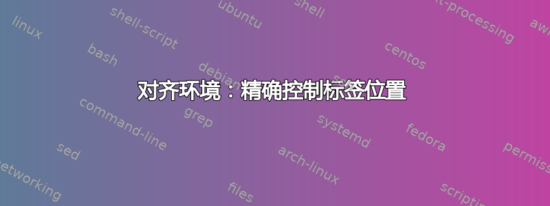 对齐环境：精确控制标签位置