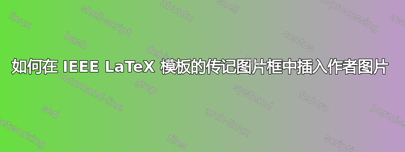 如何在 IEEE LaTeX 模板的传记图片框中插入作者图片