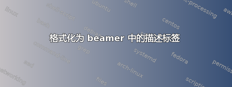 格式化为 beamer 中的描述标签