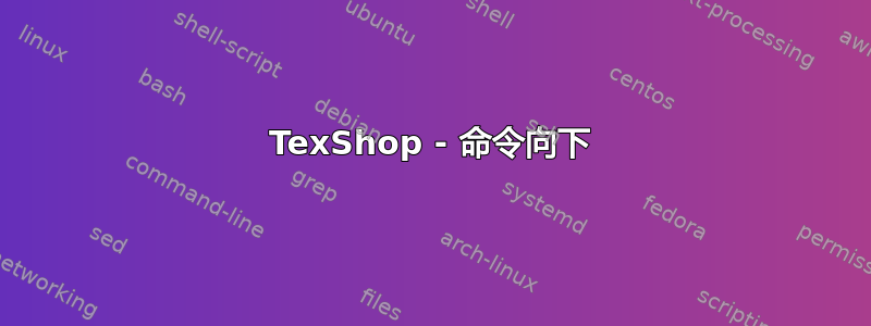 TexShop - 命令向下