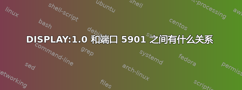 DISPLAY:1.0 和端口 5901 之间有什么关系