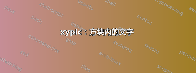 xypic：方块内的文字