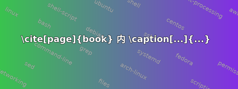 \cite[page]{book} 内 \caption[...]{...} 