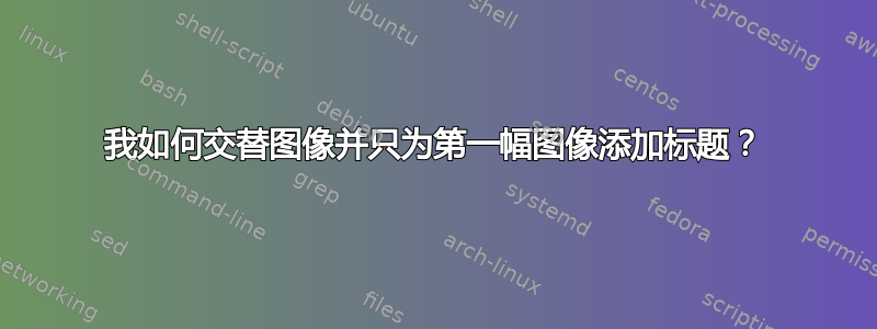 我如何交替图像并只为第一幅图像添加标题？