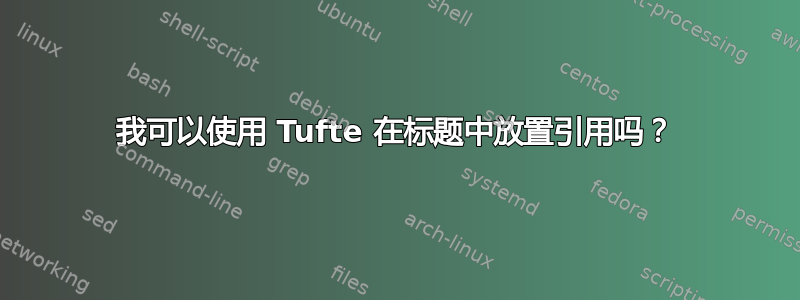 我可以使用 Tufte 在标题中放置引用吗？