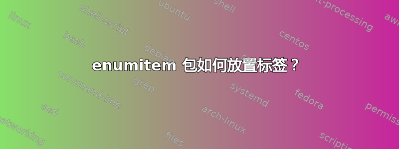 enumitem 包如何放置标签？