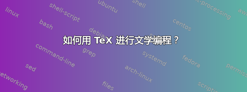 如何用 TeX 进行文学编程？